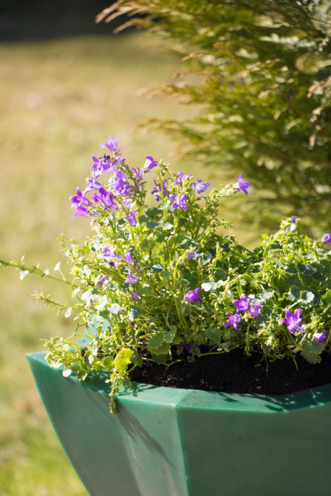 Вазон пластиковый. Собственное производство. Чистоград. Кашпо цветочное Лотос 350/450. Модель 2019